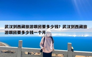 武汉到西藏旅游跟团要多少钱？武汉到西藏旅游跟团要多少钱一个月