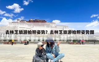 去林芝旅游拍照姿势？去林芝旅游拍照姿势图