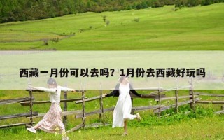 西藏一月份可以去吗？1月份去西藏好玩吗