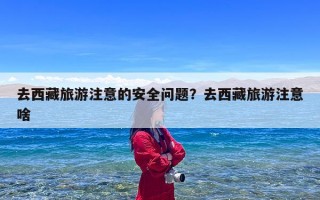 去西藏旅游注意的安全问题？去西藏旅游注意啥