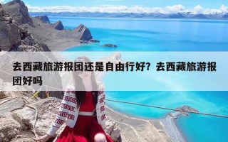 去西藏旅游报团还是自由行好？去西藏旅游报团好吗