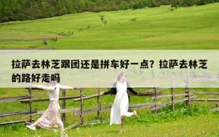 拉萨去林芝跟团还是拼车好一点？拉萨去林芝的路好走吗