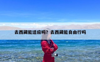 去西藏能适应吗？去西藏能自由行吗