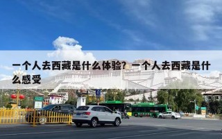 一个人去西藏是什么体验？一个人去西藏是什么感受
