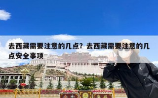 去西藏需要注意的几点？去西藏需要注意的几点安全事项
