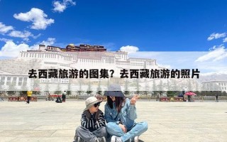 去西藏旅游的图集？去西藏旅游的照片