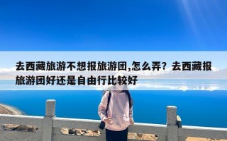 去西藏旅游不想报旅游团,怎么弄？去西藏报旅游团好还是自由行比较好