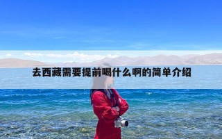 去西藏需要提前喝什么啊的简单介绍