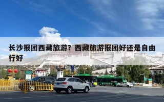 长沙报团西藏旅游？西藏旅游报团好还是自由行好