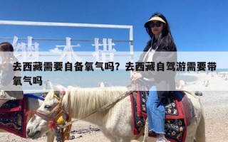 去西藏需要自备氧气吗？去西藏自驾游需要带氧气吗