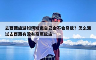 去西藏旅游如何知道自己会不会高反？怎么测试去西藏有没有高原反应