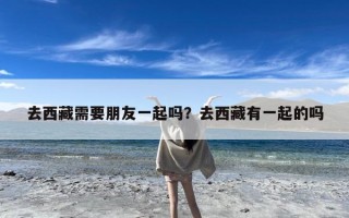 去西藏需要朋友一起吗？去西藏有一起的吗