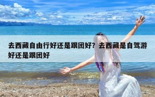 去西藏自由行好还是跟团好？去西藏是自驾游好还是跟团好