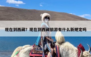 现在到西藏？现在到西藏旅游有什么新规定吗
