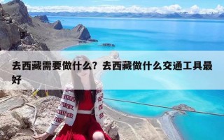 去西藏需要做什么？去西藏做什么交通工具最好
