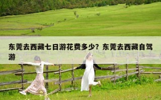 东莞去西藏七日游花费多少？东莞去西藏自驾游