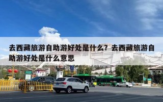 去西藏旅游自助游好处是什么？去西藏旅游自助游好处是什么意思