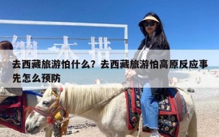 去西藏旅游怕什么？去西藏旅游怕高原反应事先怎么预防