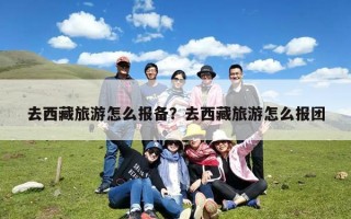 去西藏旅游怎么报备？去西藏旅游怎么报团
