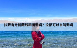 拉萨有走新藏线跟团游吗？拉萨可以自驾游吗