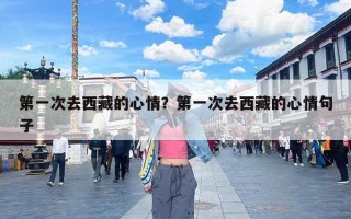 第一次去西藏的心情？第一次去西藏的心情句子