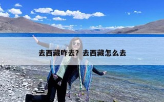 去西藏咋去？去西藏怎么去