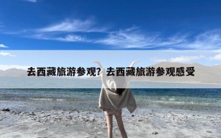 去西藏旅游参观？去西藏旅游参观感受