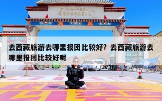 去西藏旅游去哪里报团比较好？去西藏旅游去哪里报团比较好呢