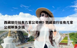 西藏旅行社有几家公司啊？西藏旅行社有几家公司啊多少钱
