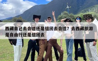 西藏自己去合适还是组团去合适？去西藏旅游是自由行还是组团去