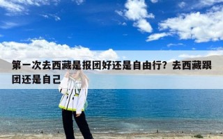 第一次去西藏是报团好还是自由行？去西藏跟团还是自己
