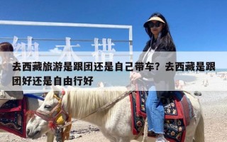 去西藏旅游是跟团还是自己带车？去西藏是跟团好还是自由行好