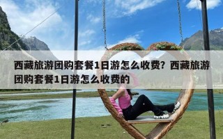 西藏旅游团购套餐1日游怎么收费？西藏旅游团购套餐1日游怎么收费的