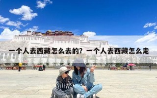 一个人去西藏怎么去的？一个人去西藏怎么走