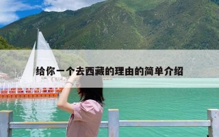 给你一个去西藏的理由的简单介绍