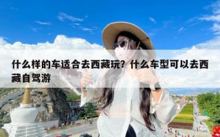 什么样的车适合去西藏玩？什么车型可以去西藏自驾游