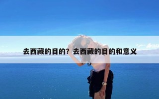 去西藏的目的？去西藏的目的和意义