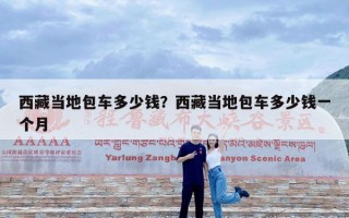 西藏当地包车多少钱？西藏当地包车多少钱一个月