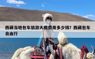西藏当地包车旅游大概费用多少钱？西藏包车自由行