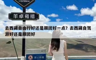 去西藏自由行好还是跟团好一点？去西藏自驾游好还是跟团好