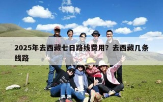 2025年去西藏七日路线费用？去西藏几条线路
