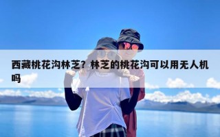 西藏桃花沟林芝？林芝的桃花沟可以用无人机吗