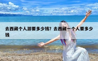 去西藏个人游要多少钱？去西藏一个人要多少钱