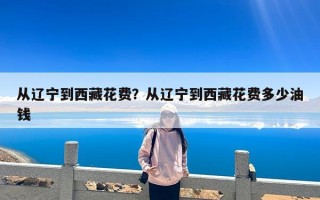 从辽宁到西藏花费？从辽宁到西藏花费多少油钱