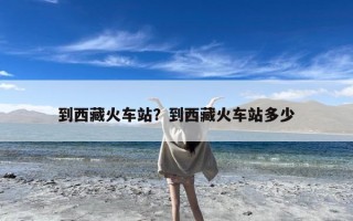 到西藏火车站？到西藏火车站多少