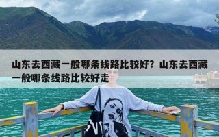 山东去西藏一般哪条线路比较好？山东去西藏一般哪条线路比较好走