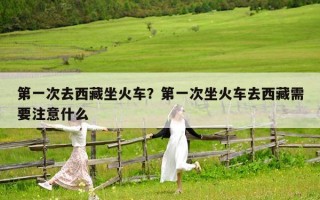 第一次去西藏坐火车？第一次坐火车去西藏需要注意什么