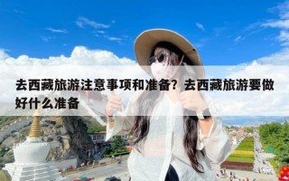 去西藏旅游注意事项和准备？去西藏旅游要做好什么准备