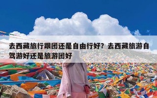 去西藏旅行跟团还是自由行好？去西藏旅游自驾游好还是旅游团好