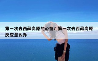 第一次去西藏高原的心情？第一次去西藏高原反应怎么办